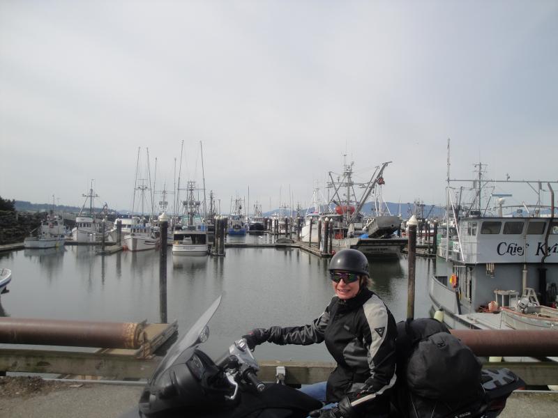 Bellingham, Washington - Fishing boats
