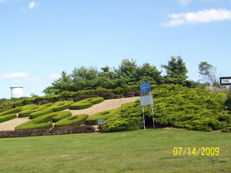 Best I could get.  Cape Code in green vegetation.