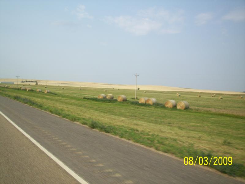 Big farming area. Saw sign about commercial beef & sheep farming.