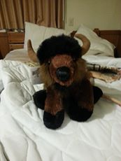 Billy Buffalo from Cody