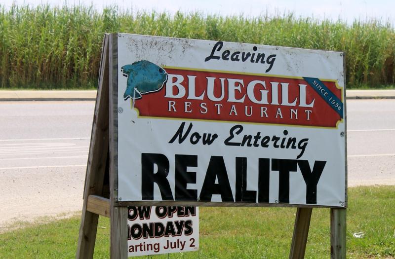 Blue Gill "entering reality" sign
