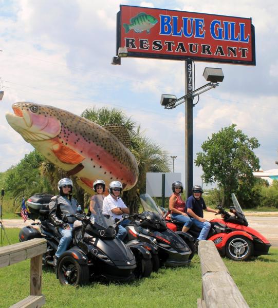 Blue Gill giant fish and Spyders Aug 25, 2012