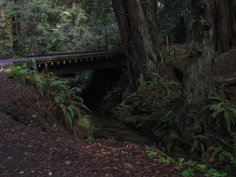 Bridge over Tunitas Creek