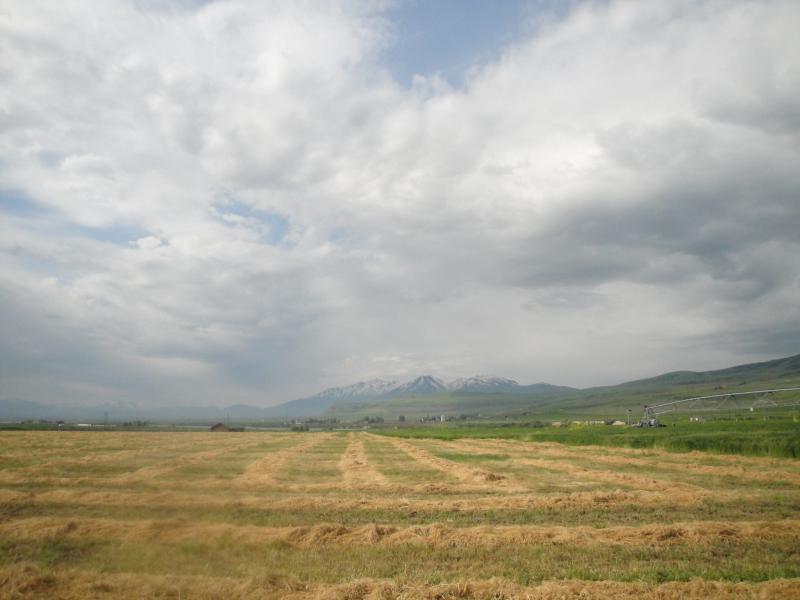 Cache Valley, Utah - Out my back door.