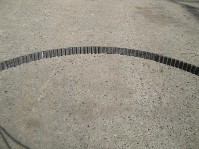 Calgary, Alberta - Spydee's poor belt...