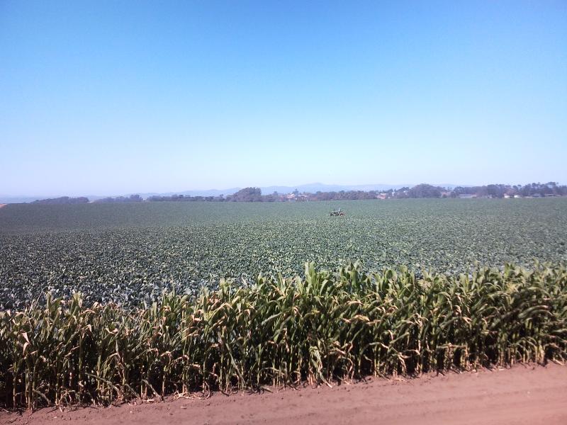 Can you see the guy on the tractor?