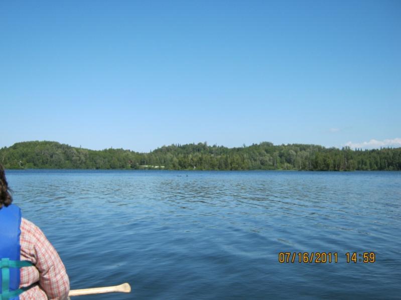 Canoeing on Daniels Lake
Loons in center of picture