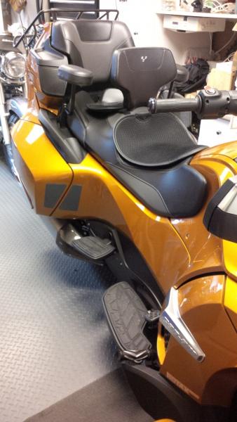 Carbon Fiber passenger heal guards from Big Bike Parts.com.