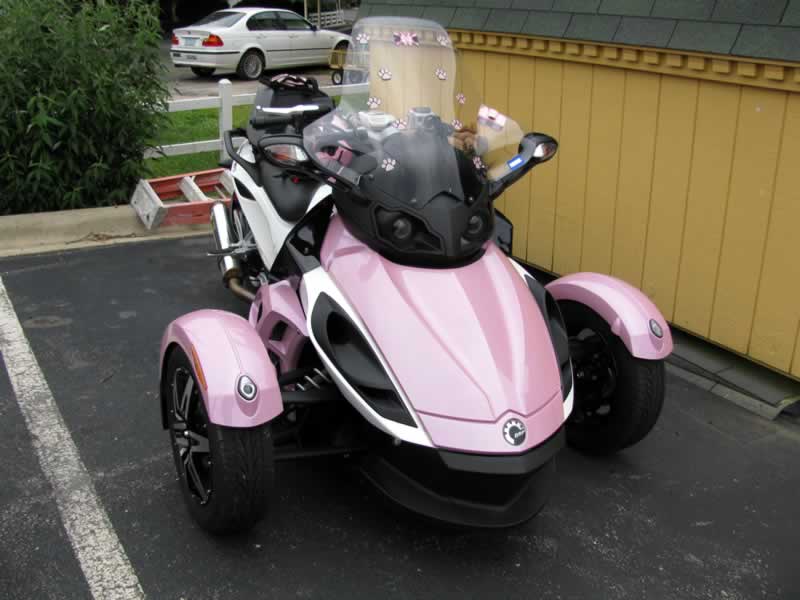 Catniption's Pink Spyder