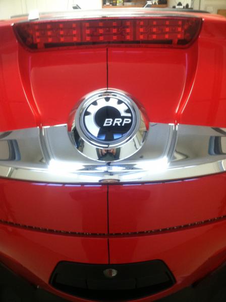 Center line marked on trunk