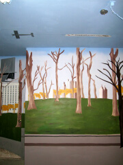 central park w plane