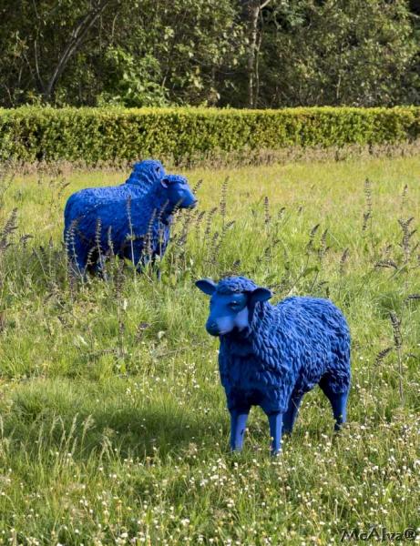 Chateau de Villarlog _ France