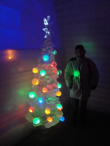 Chena Hot Spring, Alaska - Ice Museum Christmas bedroom.