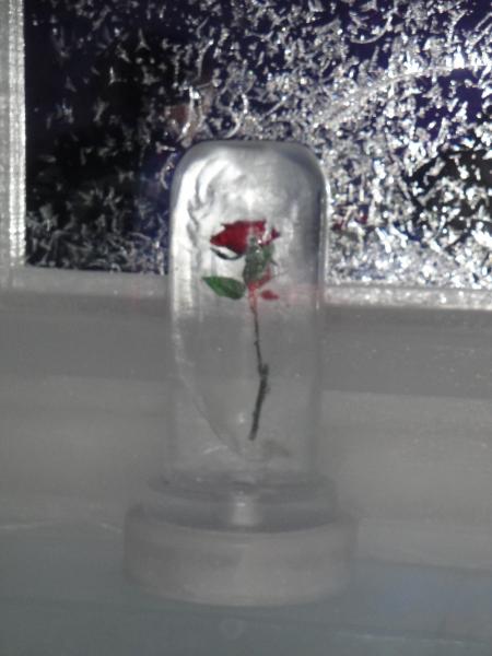 Chena Hot Springs, Alaska - Ice Museum, frozen rose.
