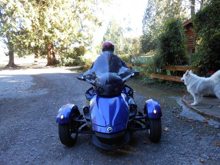 Cheryl's turn driving