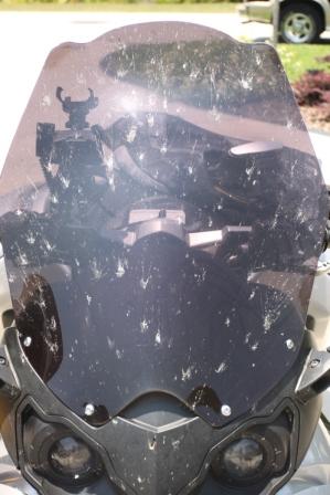 Clearwater to Jax Bugs