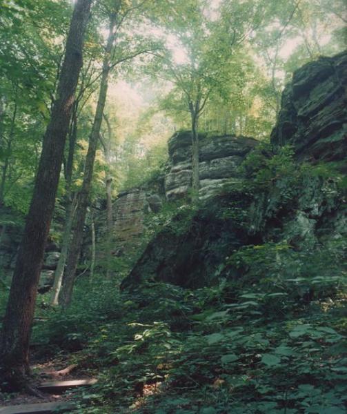 Cliffs in Giant City state park.
