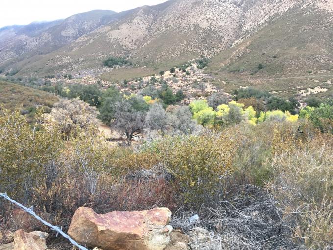 Climbing to top of Julian looking to the desert.