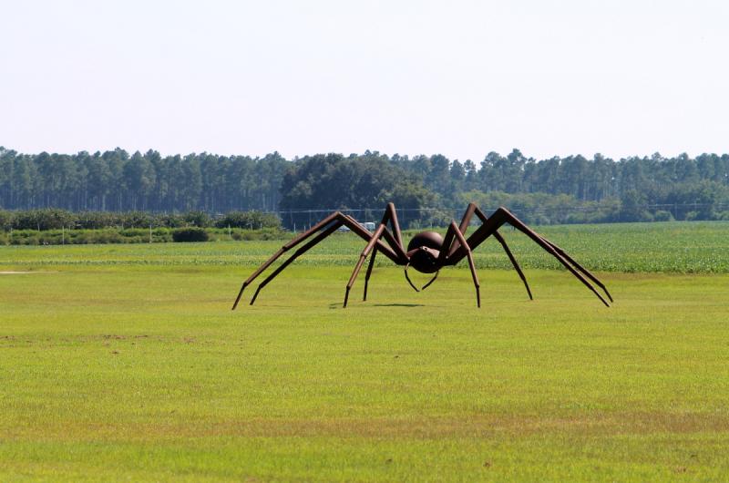 Close up of 20 ft metal spider