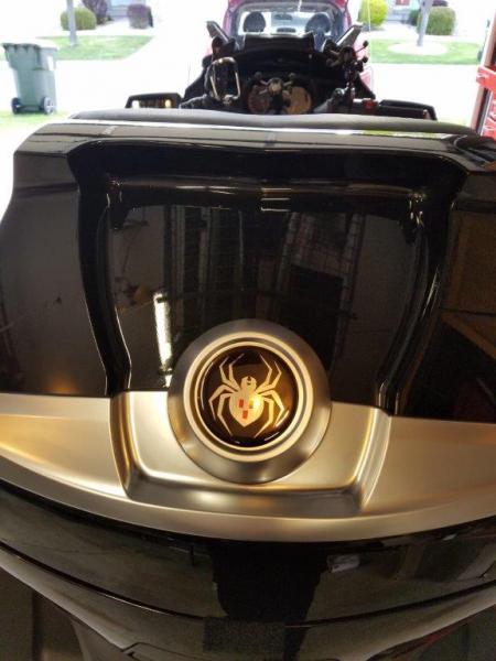 close up rear trunk spider