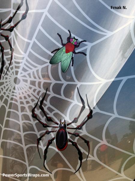 Close up view web, Bellerdine spider and fly. I wanted you to see the detail in these elements.