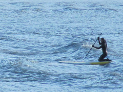 Club Ride #7  Surfing the boar tide on Turnagin Arm.  It's cold water and dangerous tides.  Notice the wet suit.  Not for beginners--but there are a f