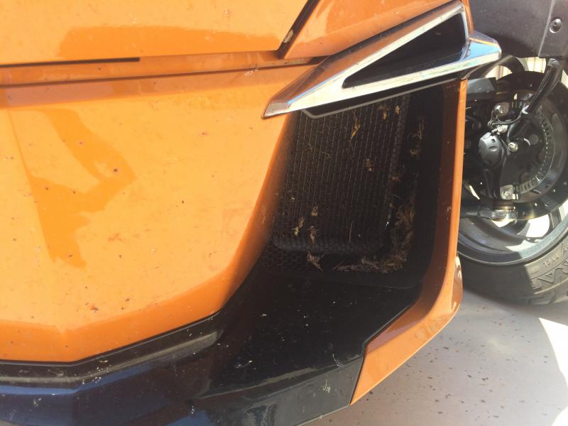 Collected a few bugs on the ride