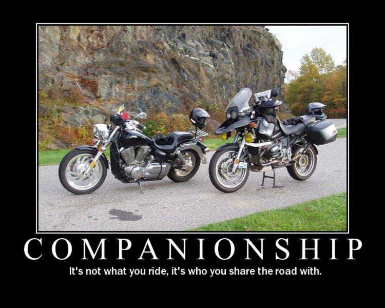 Companionship