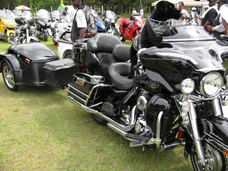 Competitor in Luxury Class