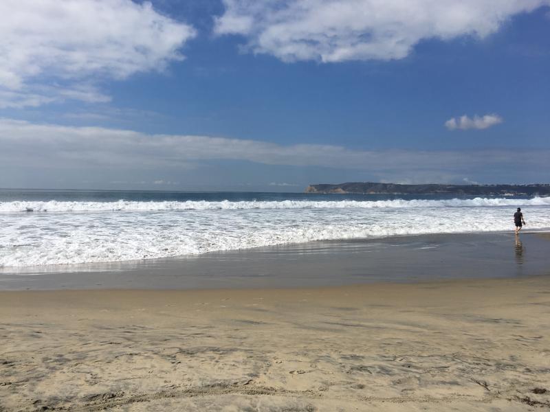 Coronado beach at the Del
