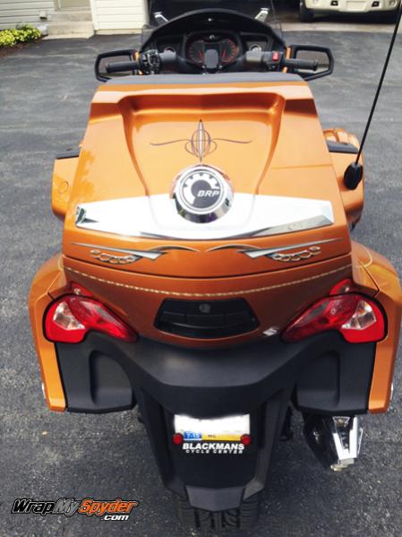 Cosmos - Gray back bar section