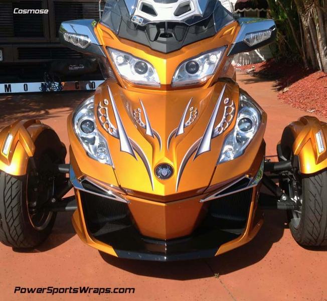 Cosmose- Special thanks to Cary D. for sending us these photos