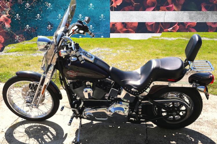 Current '05 Springer in Athens, Ga