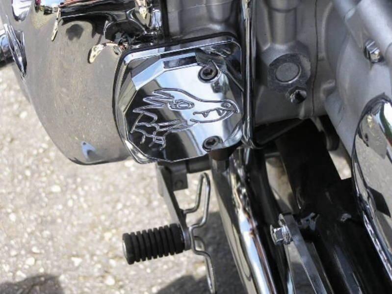 Custom Dragon Head Cam covers