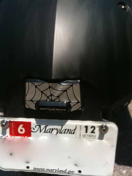 Custom plate light, install was easy but light from LEDs is week