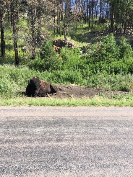 D70F52ED 425F 4D73 9731 7277D8BB598F