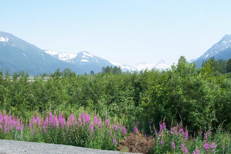 Denali National Park