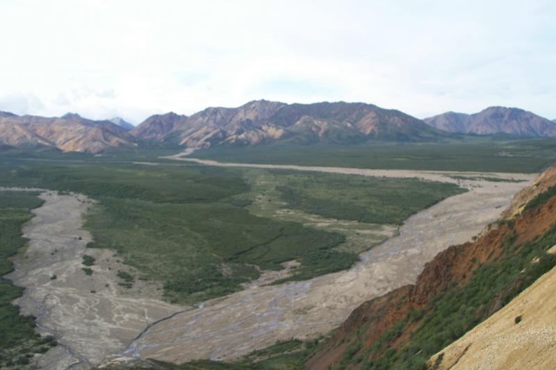 Denali National Park