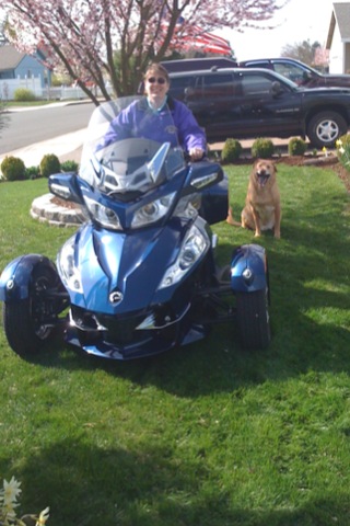 Denver seems bored to yawns!