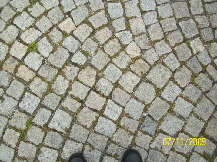 Design of bricks in drive/walkway.  VF, PA