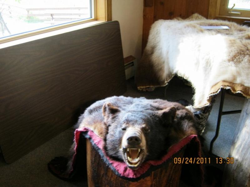 Don't mess with Dwayne