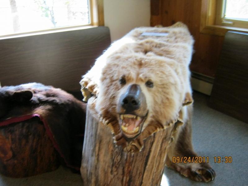 Don't Mess with Dwayne