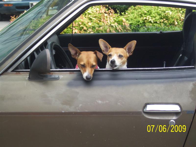 Drink stop and these guys were on the side of us.