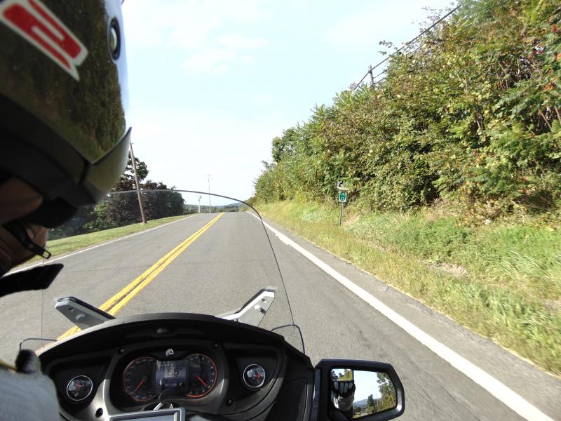 DSC00216
The Trip Up