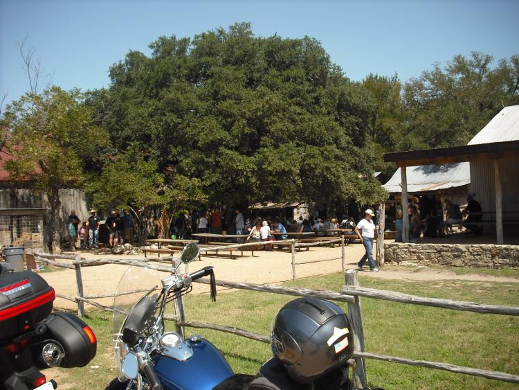 DSCF0088
Luckenback , Tx