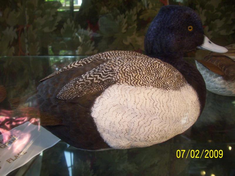 Ducks from the same artist as before.