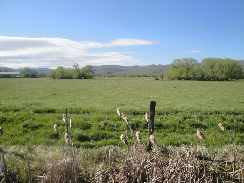 Eastern Washington - Out my back door...