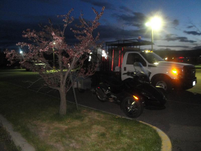 Eastern Washington - Someone watching over Spydee.