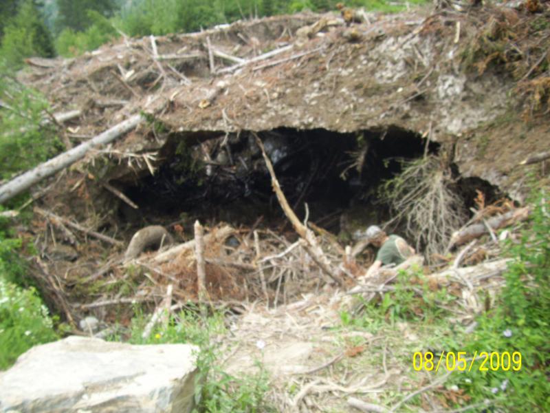 Erosion under the ice flow so it collapsed, guy going under