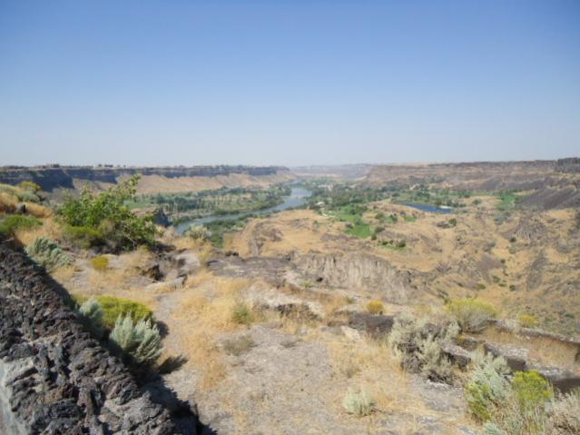 Evil Kneivel Jum area